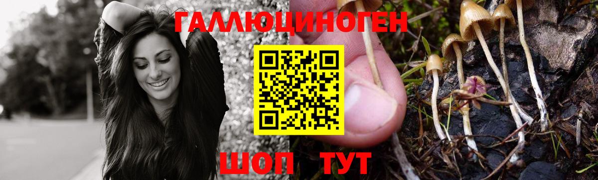 Минусинск  Галлюциногенные грибы Cubensis  Вход с VPN 
